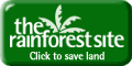 Save Our Rainforests